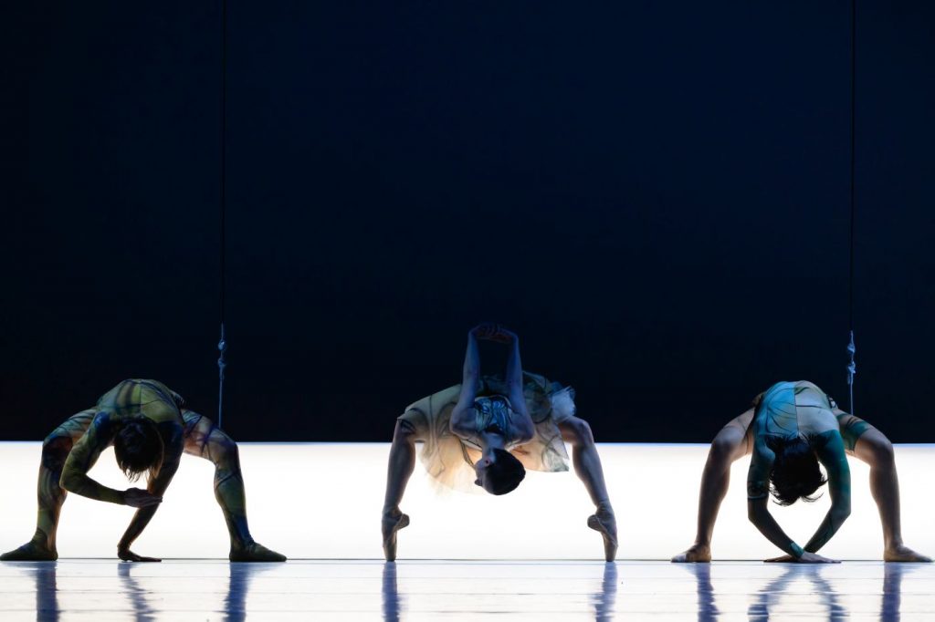 12. Ensemble, “Caravansérail” by J.Guérin, Les Ballets de Monte-Carlo 2026 © A.Blangero