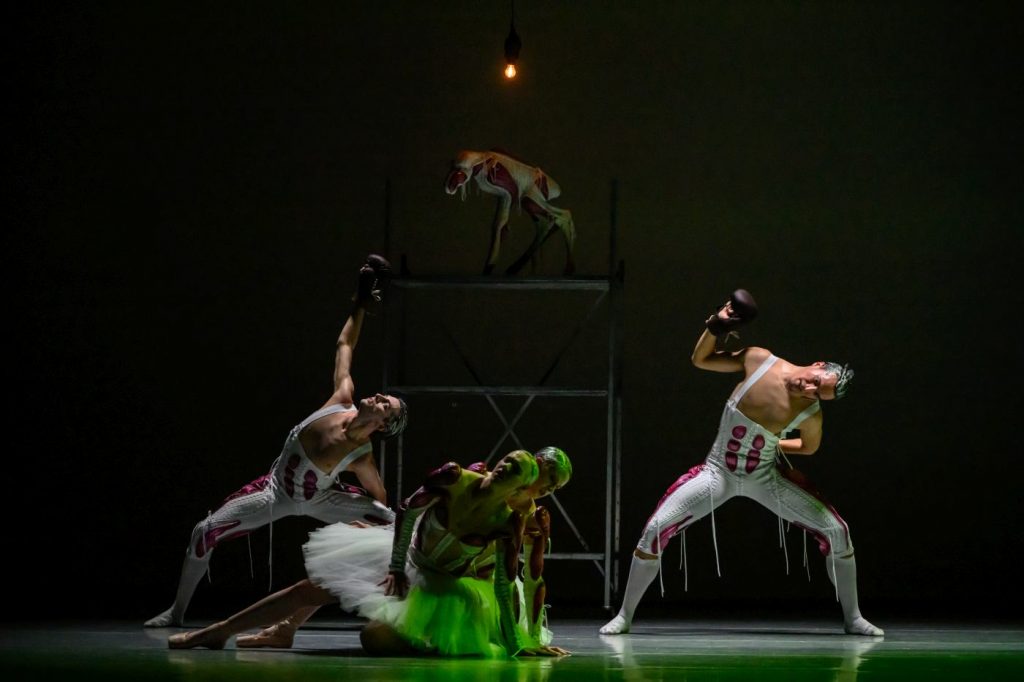 27. Ensemble, “Steps for Bea(s)ts That Never Were” by J.Verbruggen, Les Ballets de Monte-Carlo 2026 © A.Blangero