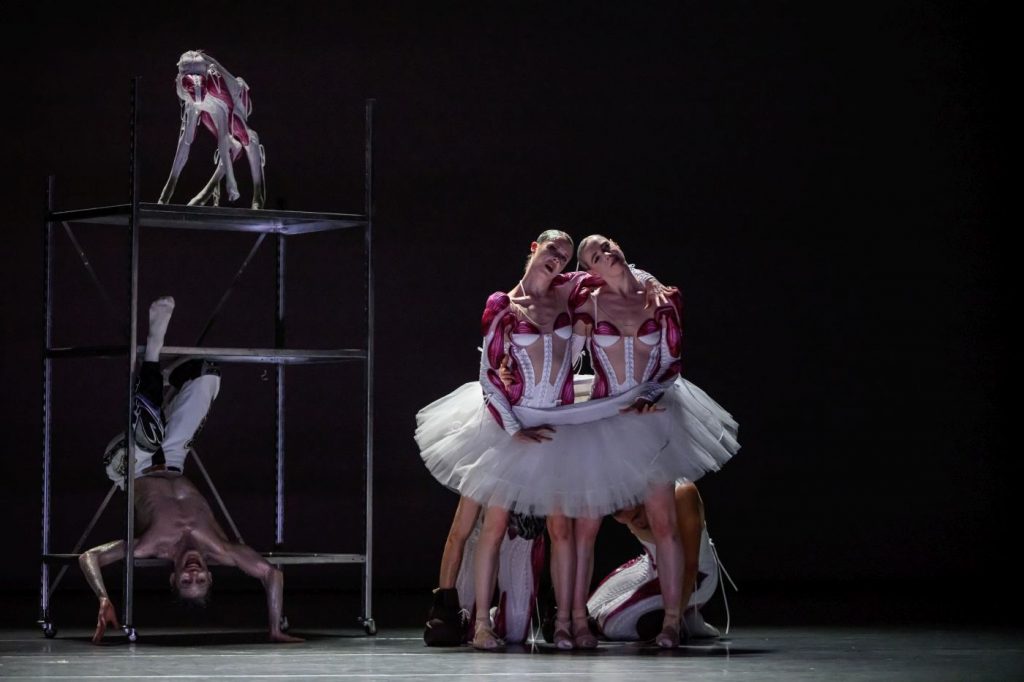 29. L.Simonetto, E.Knowlson, C.Verschraegen, and ensemble; “Steps for Bea(s)ts That Never Were” by J.Verbruggen, Les Ballets de Monte-Carlo 2026 © A.Blangero