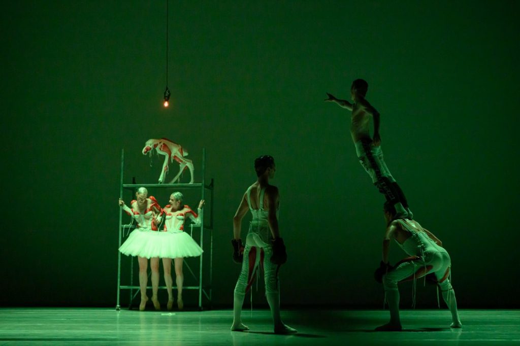 30. Ensemble, “Steps for Bea(s)ts That Never Were” by J.Verbruggen, Les Ballets de Monte-Carlo 2026 © A.Blangero